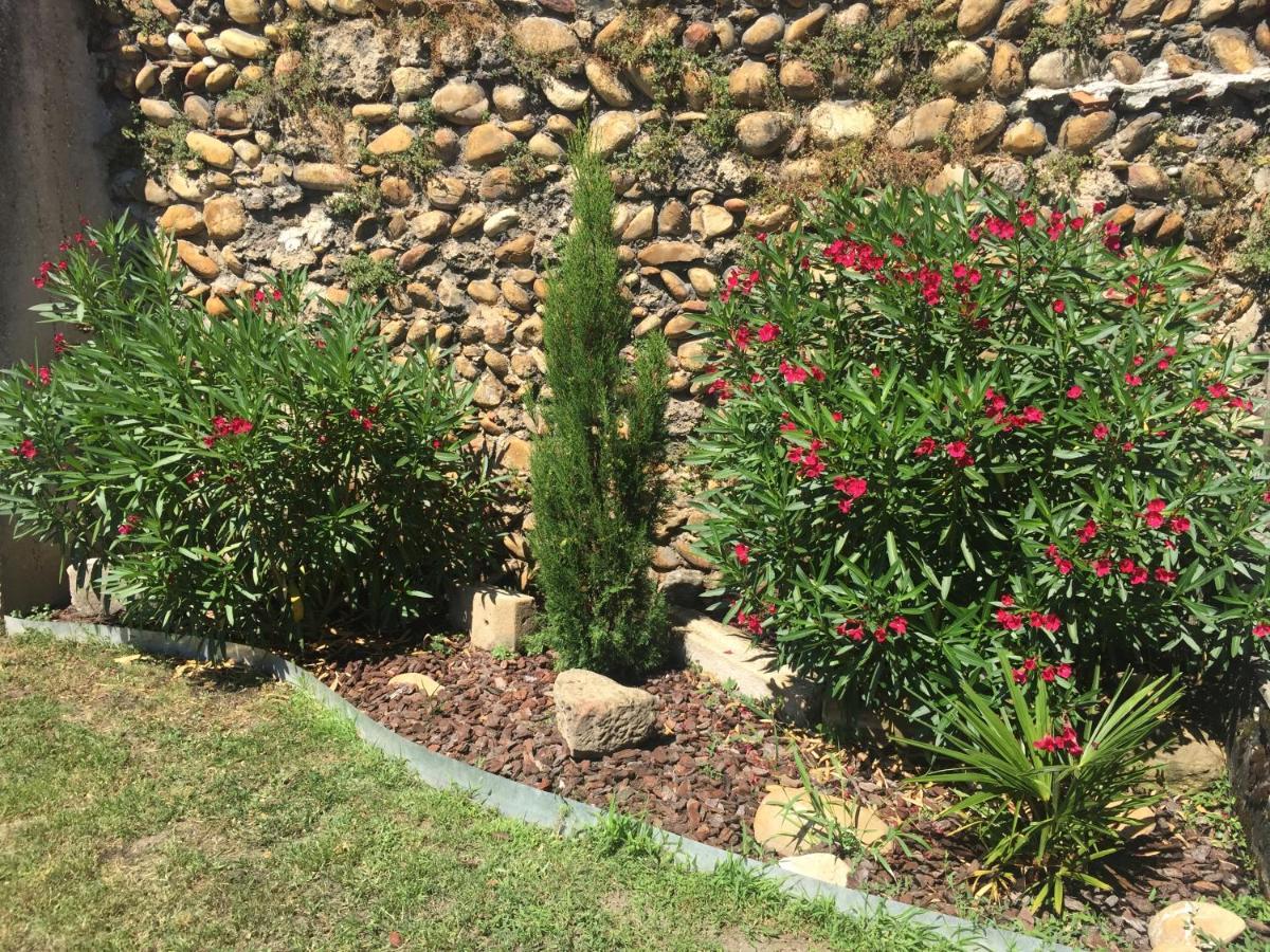 Le Charles IX Lägenhet Roussillon  Exteriör bild